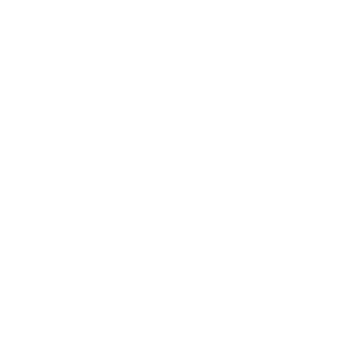 Vega X Logo